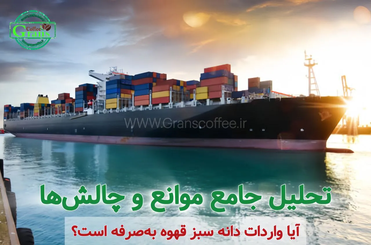 آیا واردات دانه سبز قهوه به‌صرفه است؟ تحلیل جامع موانع و چالش‌ها