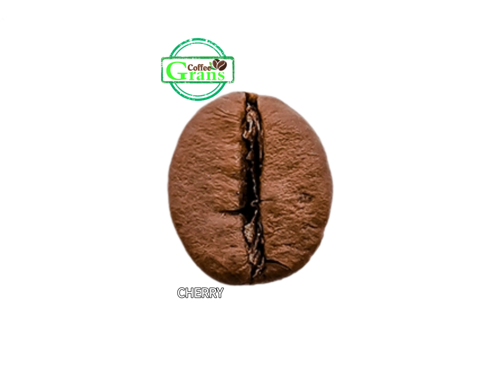 دانه قهوه چری ( cherry)
