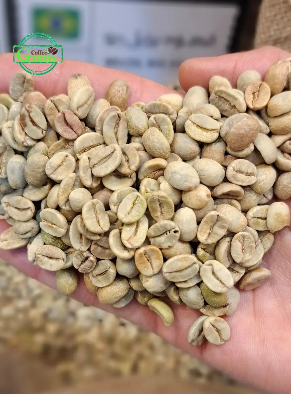 دانه سبز قهوه عربیکا برزیل ریومیناس