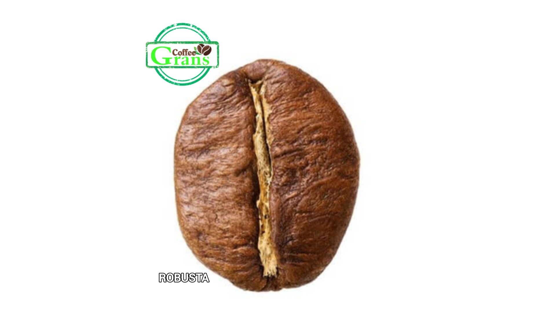 دانه قهوه روبوستا ویتنام (Robusta)