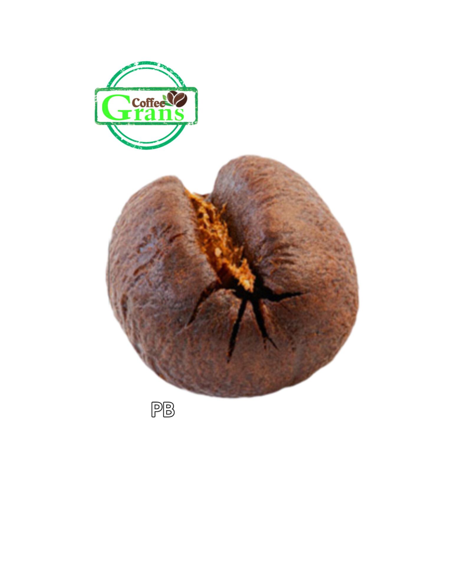 دانه قهوه پی بی (Pb)