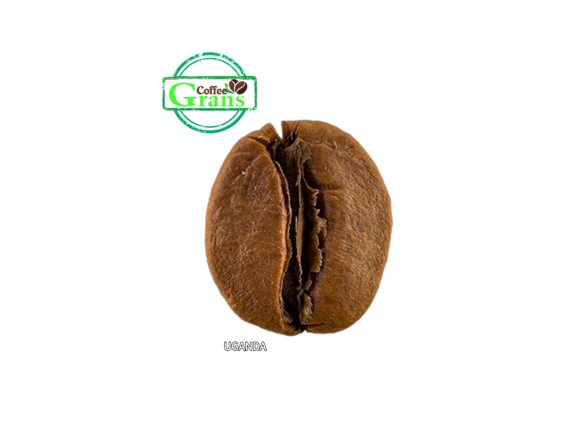 دانه قهوه روبوستا اوگاندا(Uganda)